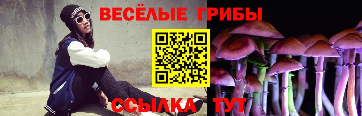 Галлюциногенные грибы Psilocybine cubensis Лангепас